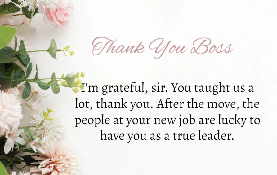 120+ Thank You Messages for Boss– Appreciation Quotes | WeStillTango