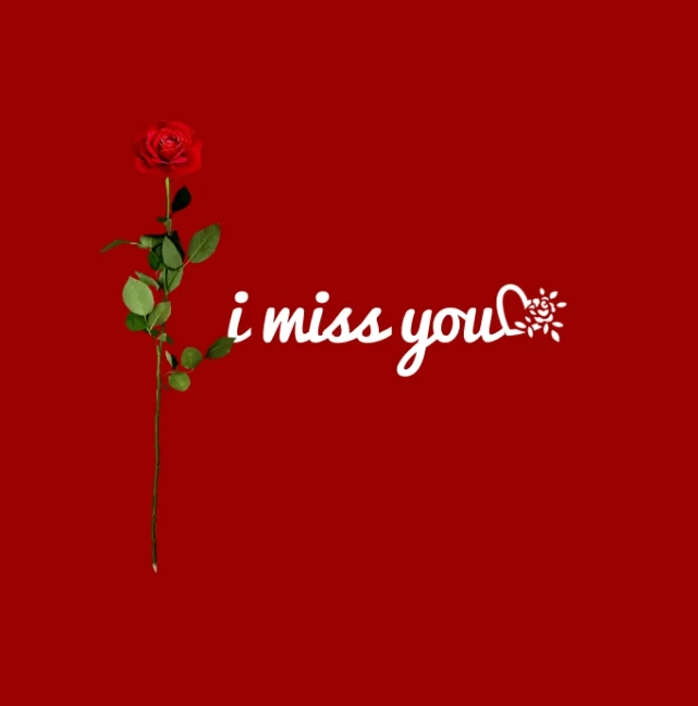 I Miss You Messages Quotes