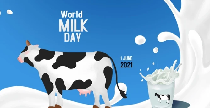 world milk day wishes and messages image