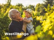 Encouraging Sentiments for Your Neighbor's Graduation Success